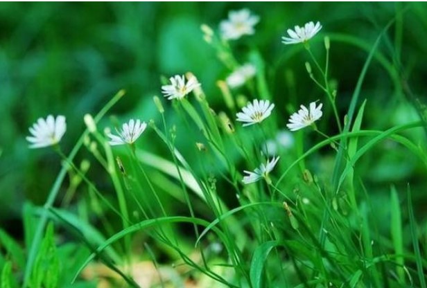 Những người có trí tuệ cảm xúc cao sẽ không đến thăm nhà của ba loại người này, nhưng những người có trí tuệ cảm xúc thấp thường đến đó