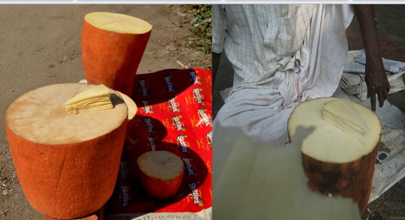 Loại củ trông như khúc gỗ có thể nặng tới 100kg, được người dân Ấn Độ coi thức uống giải khát