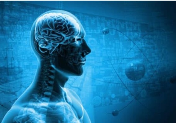 5 sự thật về tâm lý con người: Biết được sẽ khiến bạn hiểu bản thân và những người xung quanh hơn