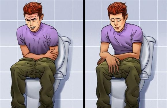 chat-xo (1).jpg 1 chất xơ, sức khoẻ, tiêu hoá