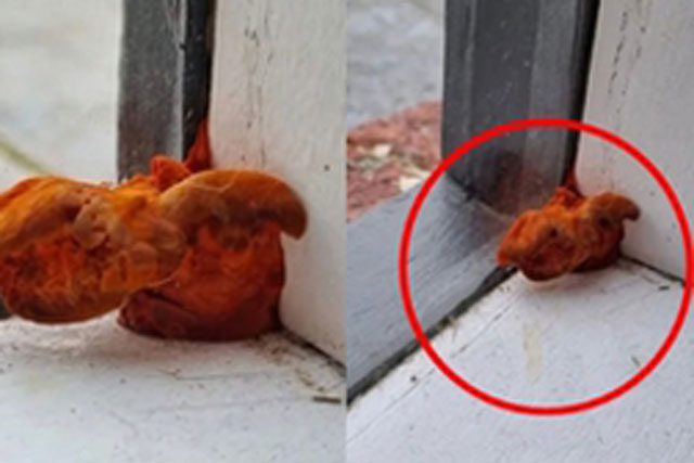 Thấy vật thể lạ trông như 'quái vật' mọc ra từ cửa sổ phòng trọ, người phụ nữ sợ hãi hỏi dân mạng rồi kinh ngạc với câu trả lời