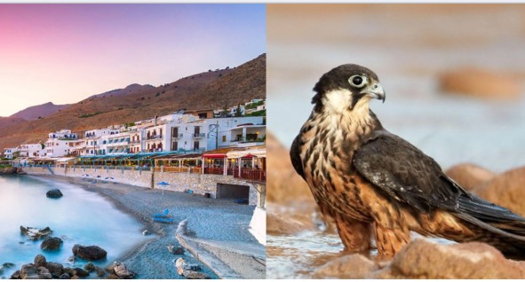 Hòn đảo được ví như ‘đảo thiên đường’, được cấp sẵn nhà và tiền nhưng lại có cực ít người đến ở