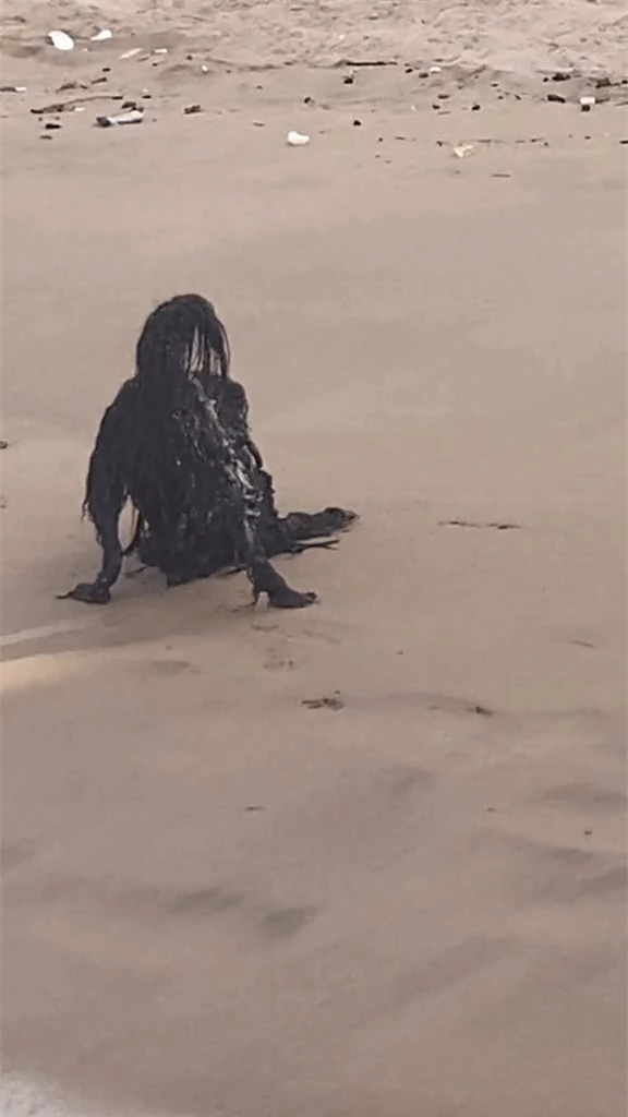 Khoảnh khắc "người ngoài hành tinh đen" xuất hiện trên bãi biển khiến 27 triệu người xem khiếp sợ - Ảnh 2.