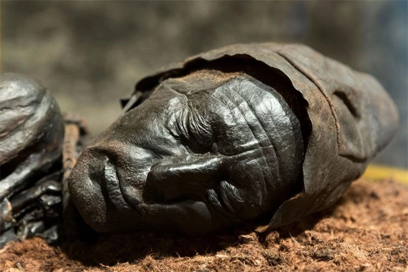 Xác ướp Tollund Man được đặt ở tư thế ngủ trong hố than bùn.