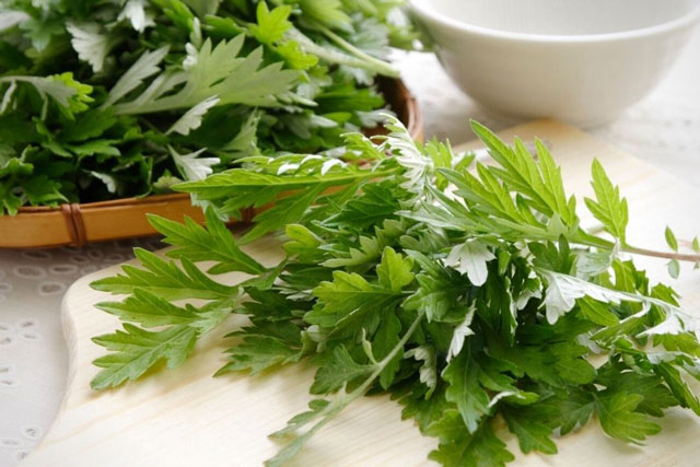 9 công dụng của ngải cứu, loài rau được mệnh danh là 'vua của các loại thảo mộc'