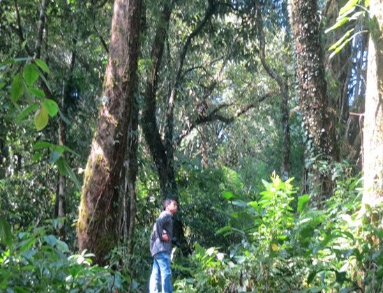 Ám ảnh chuyện mất mạng khi 'thần rừng' nổi giận