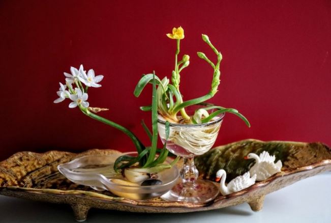 Th&#xFA; ch&#x1A1;i thu&#x1EF7; ti&#xEA;n tao nh&#xE3;, gi&#xE1; ch&#x1EC9; 50.000 &#x111;&#x1ED3;ng m&#xE0; &#x111;&#x1B0;&#x1EE3;c bao ch&#x1ECB; em s&#x103;n &#x111;&#xF3;n