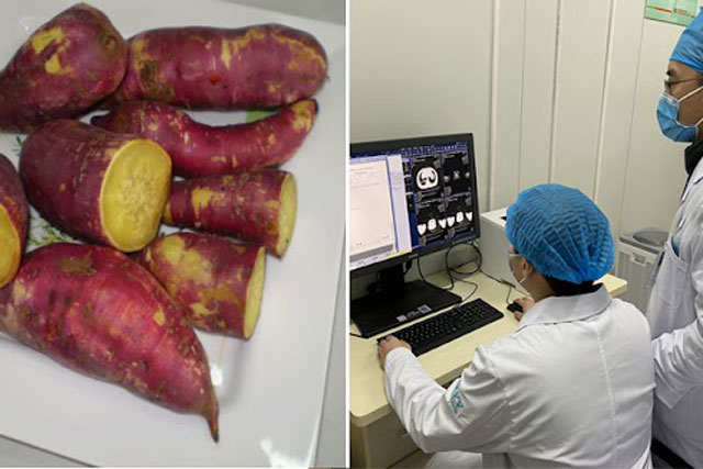 9 thực phẩm 'ức chế' ung thư từ sớm, ngăn ngừa tới 90%: Tiếc là người Việt ít khi ăn