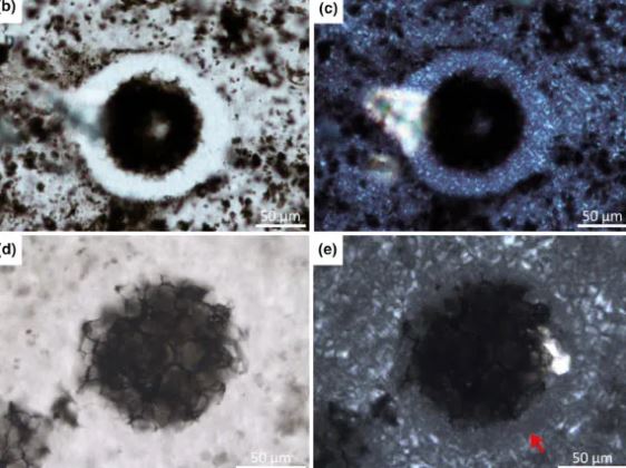 Phát hiện hóa thạch gây sốc của sinh vật 2,4 tỉ năm tuổi
