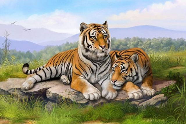 Người tuổi Dần nên trồng cây gì để chiêu tài, hút lộc?