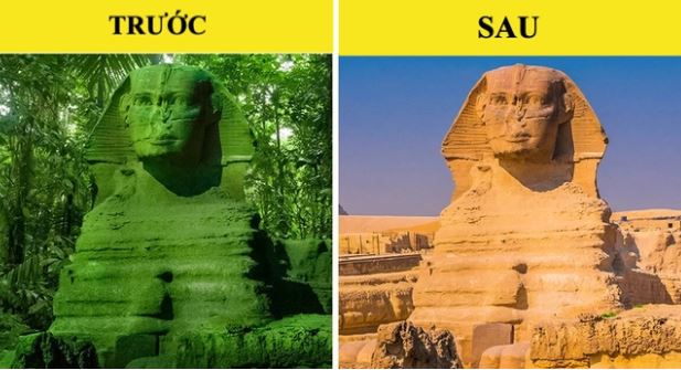 7 sự thật chẳng mấy ai biết về thế giới, khiến bạn cảm giác như đã bỏ lỡ quá nhiều điều thú vị