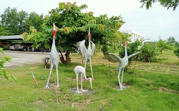 Đồng Tháp quyết tâm ‘gọi’ sếu về, phục hồi sinh cảnh Vườn quốc gia Tràm Chim