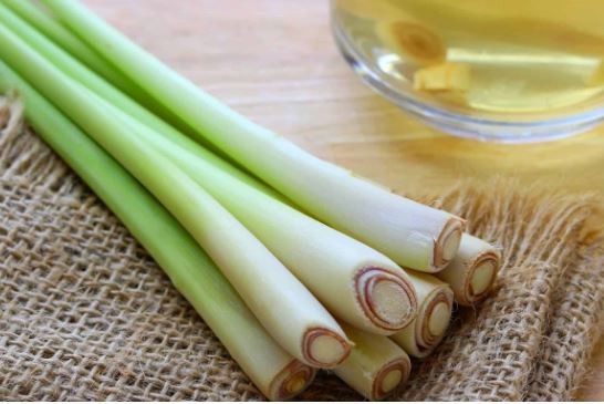 9 loại thực phẩm chữa bệnh quen thuộc mà ông bà bạn đã tin dùng