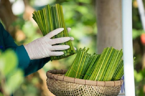 Doanh nghiệp muốn sản phẩm 'xanh' nhưng thiếu hiểu biết tiêu chí 'xanh'