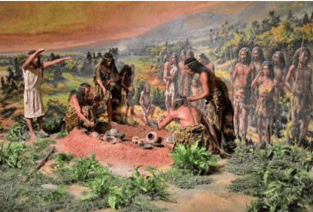 Sau khi cơ thể con người rụng đi lông, tại sao chỉ còn lại lông ở một số bộ phận?