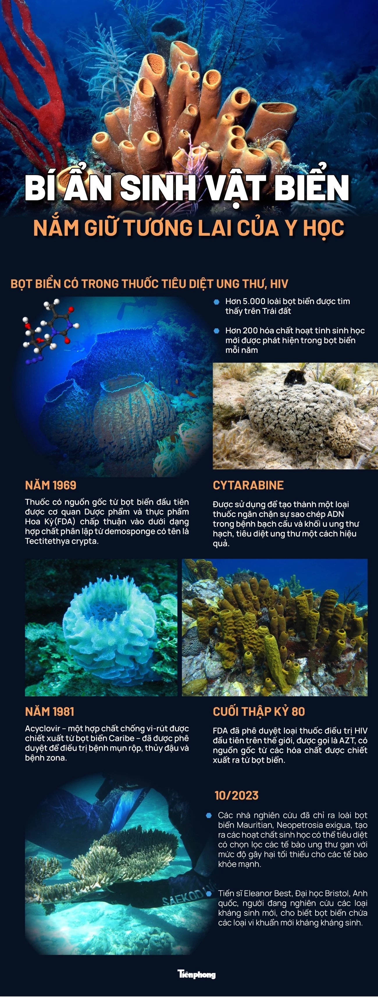 Bí ẩn những sinh vật biển lâu đời nhất hành tinh nắm giữ tương lai của y học ảnh 1