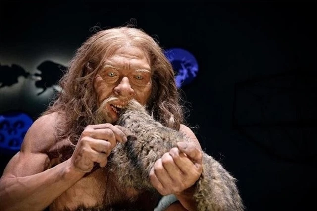 nguoi-Neanderthal-3