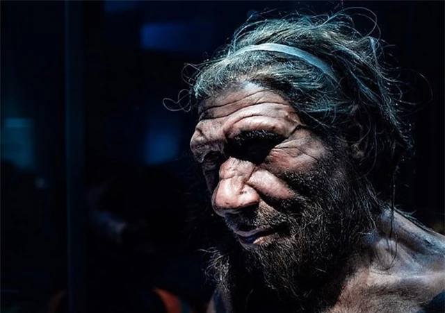 nguoi-Neanderthal-4