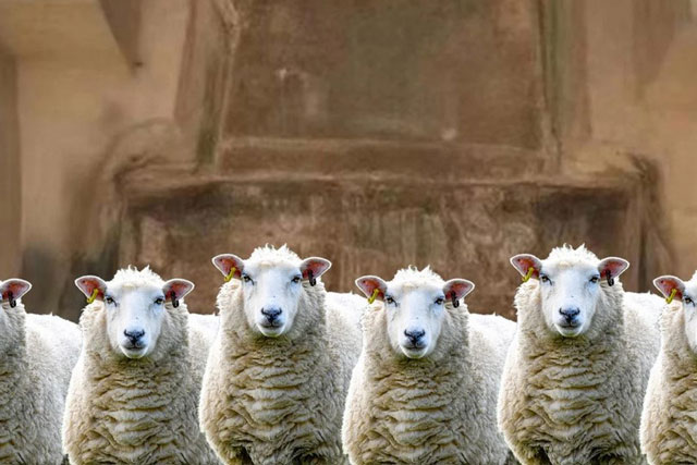 Giới khảo cổ Trung Quốc ngỡ ngàng trước vật 'đặc biệt hiếm thấy' vừa được phát hiện gần lăng Tần Thủy Hoàng