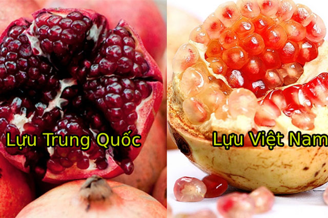 Mẹo hay phân biệt lựu Trung Quốc và lựu Việt Nam