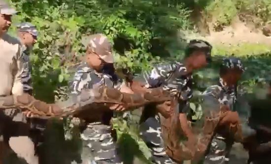 Clip: Rùng mình trước cảnh tượng 8 người đàn ông khiêng trăn khủng