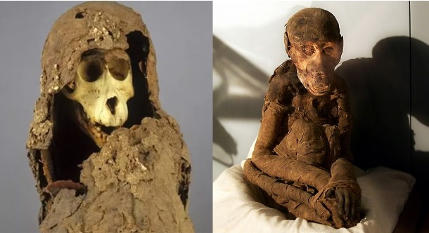 Vén màn bí ẩn về xác ướp khỉ đầu chó hơn 2.500 tuổi khiến giới khoa học đau đầu cả trăm năm qua