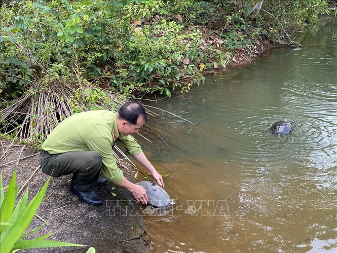 Bảo vệ và phát huy đa dạng sinh học vì sự phát triển bền vững
