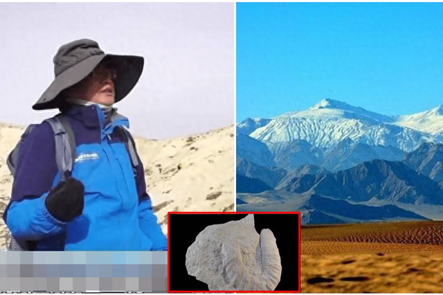 Tìm thấy hóa thạch cá mập trên đỉnh núi cao thứ 6 thế giới, niên đại 220 triệu năm, tổ tiên loài cá mập ngày nay?