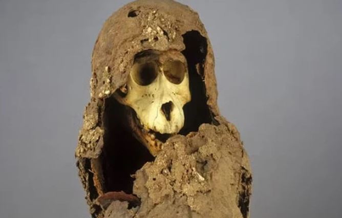 Xác ướp quái dị tiết lộ vương quốc huyền bí ẩn mình giữa Ai Cập