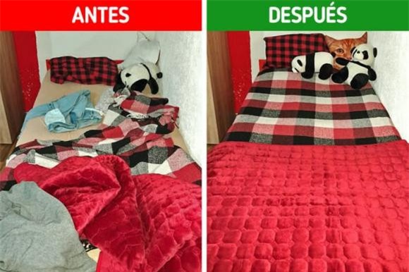 vệ sinh, dọn dẹp, cách vệ sinh bếp từ