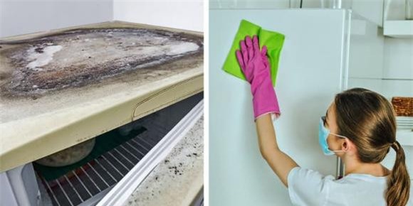vệ sinh đồ dùng 0 vật dụng, đồ dùng trong nhà, kiến thức, vệ sinh đồ dùng, đồ dùng nhà bếp