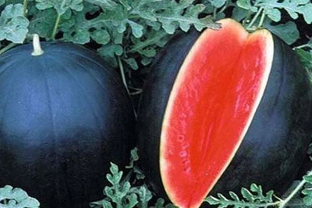 CLIP: Điểm danh những món ăn đắt nhất thế giới