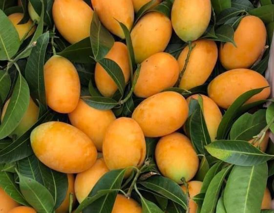 5 đặc sản nổi tiếng đất Vĩnh Long nức tiếng gần xa, ai đến cũng phải mua về làm quà