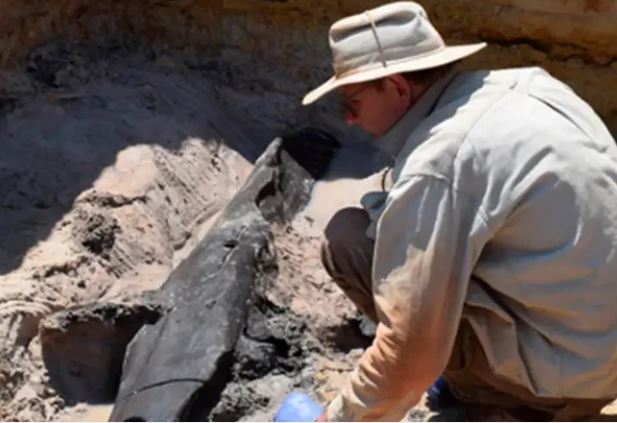 Hiện vật gỗ 500 nghìn năm tuổi hé lộ bí mật về tổ tiên loài người