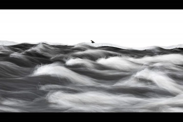 Tác phẩm “Nhìn dòng sông” của Stefan Gerrits.