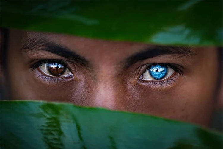 Bộ tộc có đôi mắt xanh cực hiếm ở Indonesia.