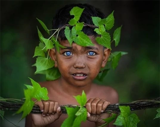 Bộ tộc có đôi mắt xanh hiếm lạ ở Indonesia ảnh 4