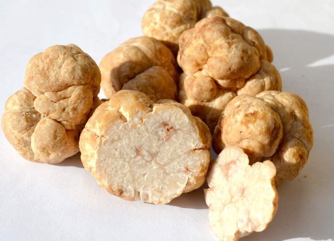 Kh&#xE1;m ph&#xE1; 10 th&#x1EF1;c ph&#x1EA9;m &#x111;&#x1EAF;t nh&#x1EA5;t th&#x1EBF; gi&#x1EDB;i