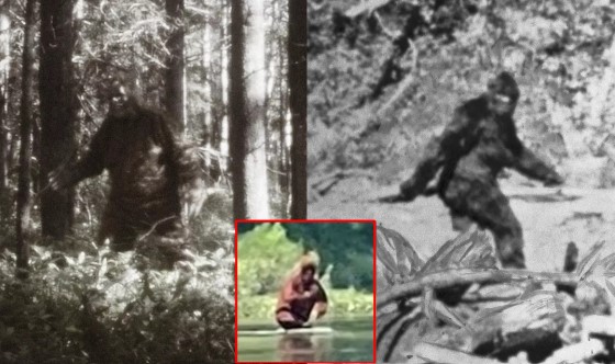 Tiết lộ hình ảnh chân thực nhất về quái vật Bigfoot từng khiến cả thế giới chao đảo