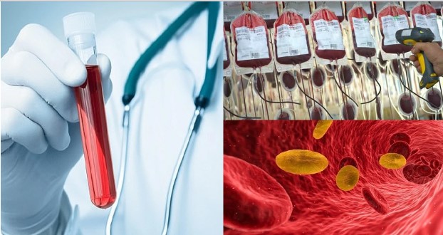 Nhóm ‘máu vàng’ quý hiếm nhất hành tinh: Cả thế giới chỉ 43 người sở hữu, bị săn lùng gắt gao