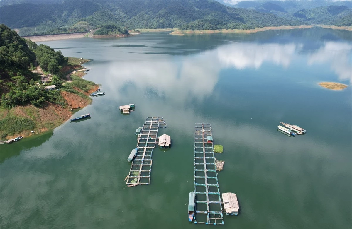Ngắm khu nuôi cá đặc sản trên hồ nước ngọt lớn nhất Thanh Hóa - Ảnh 3.
