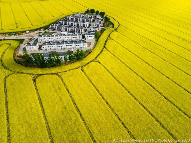 Agnieszka Wieczorek đã giành chiến thắng ở hạng mục Chụp ảnh trên không với bức ảnh chụp bằng UAV về một ngôi làng nhỏ ở Ba Lan giữa cánh đồng cải dầu màu vàng.
