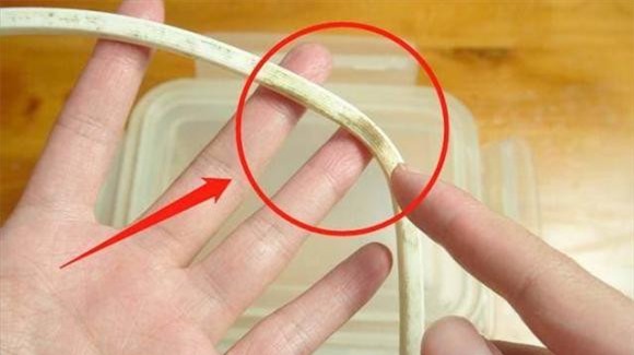 dai-cao-su (1).jpeg 0 hộp cơm, dải cao su, mẹo hay, vệ sinh