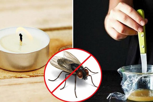 10 c&#xE1;ch &#x111;u&#x1ED5;i ru&#x1ED3;i d&#xE2;n d&#xE3; nh&#x1B0;ng hi&#x1EC7;u qu&#x1EA3; b&#x1EA5;t ng&#x1EDD;