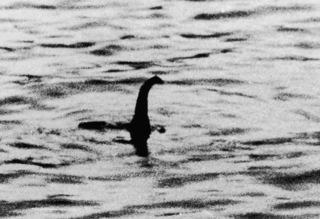 Đang thư giãn vui vẻ, cặp đôi ngỡ ngàng khi được tận mắt thấy quái vật hồ Loch Ness huyền thoại