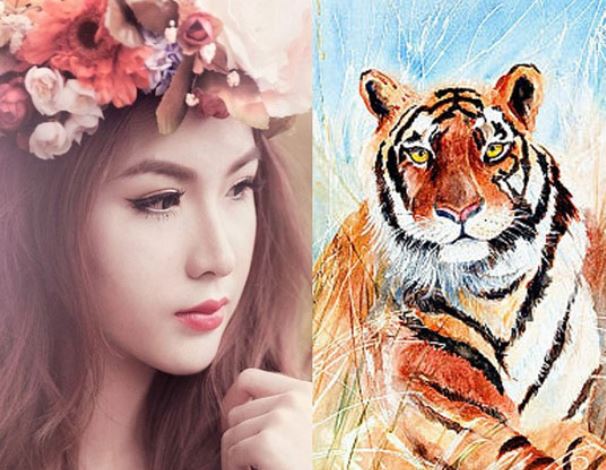 Tuổi Dần hợp màu gì? Cách chọn màu sắc phong thủy cho tuổi Dần