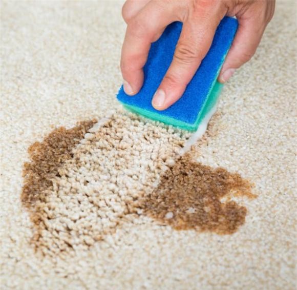 dầu rửa bát 2 xà phòng rửa bát, nước rửa bát, kiến thức