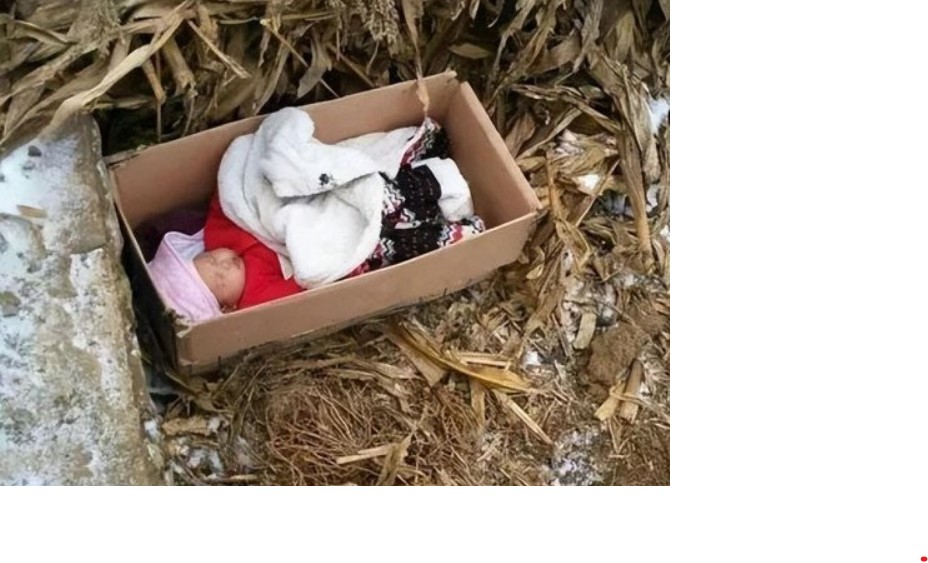 Nhặt được bé gái khi đi bán khoai tây, 23 năm sau bố mẹ đẻ đột nhiên xuất hiện và cái kết không ngờ
