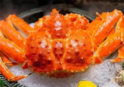 cua-hoang-de (1).jpeg 0 cua-hoang-de (1).jpeg 0