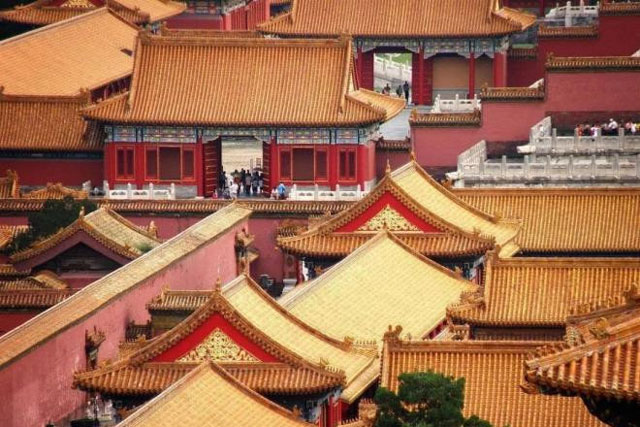 Rất nhiều gỗ đã được sử dụng để dựng lên Tử Cấm Thành, chúng được lấy từ đâu và vì sao sau hàng trăm năm không bị mối mọt?